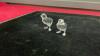 (2) SMALL CRYSTAL BIRDS - UNKNOWN IF SWAROVSKI (NO MARKINGS) - 5