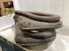 (2) ANTIQUE COLLARS - 2