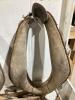 (5) HAMES & (2) COLLARS - 7