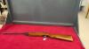PELLET GUN - 4