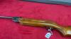 PELLET GUN - 6