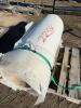 Roll of fibre mat