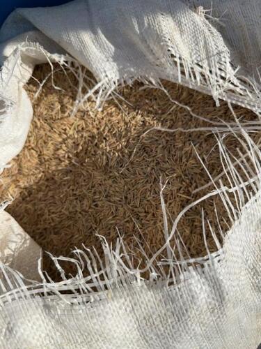 Partial bag of Broam grass seed