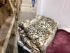 (2) BLANKETS AND ANIMAL PRINT MATERIAL - 2