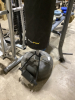 EVERLAST PUNCHING BAG - 2