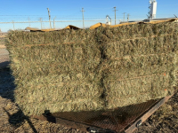 11 Bales of Grass Hay