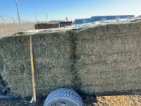 11 bales of Grass Hay