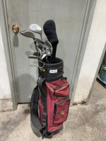 Amanti Golf Bag with 12 clubs