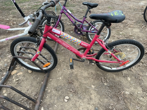 Rave Bicycle