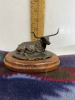 “ 4 Half Diamond Steer” bronze