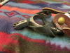 Medium weight stainless steel spurs - 2