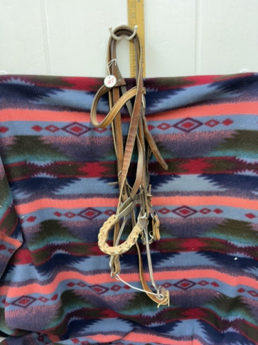 Mechanical Hackamore bridal with reins