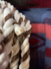 New 1 inch cotton lead rope - 2