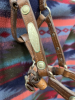 Leather foal/yearling show halter - 3
