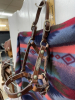 Leather foal/yearling show halter - 5