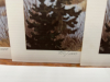 6 Prints of " The Exalted Ruler " by Sprunger - 3