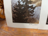 6 Prints of " The Exalted Ruler " by Sprunger - 7