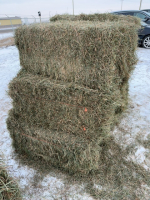 11 Bales of 2nd. Cut Crested Wheatgrass Hay