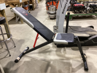 CAP STRENGTH WORKOUT BENCH