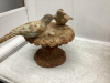 WOOD + CAST CLOCK , SMALL CAST BIRD BATH - 2