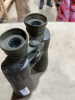 Celestron binoculars - 2