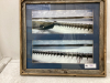 FRAMED BASSANO DAM PICTURES WITH CATTLE CROSSING