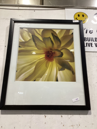 PICTURE OF YELLOW FLOWER