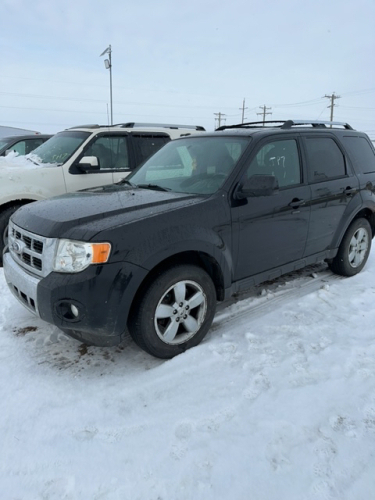 2011 Ford Escape LTD