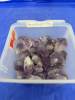 Amethyst Pts. Stones