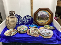 COLLECTOR PLATES