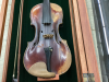 VIOLIN WITH STORAGE CASE - 3