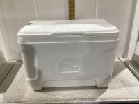 IGLOO WHITE COOLER