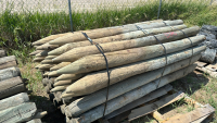 FENCE POSTS. 3-4â€. 6â€™tall