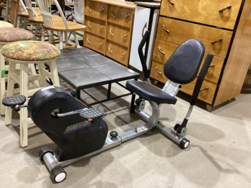 FREE SPIRIT RECUMBENT BIKE