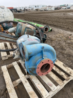 Paco irrigation pump with Marathon motor