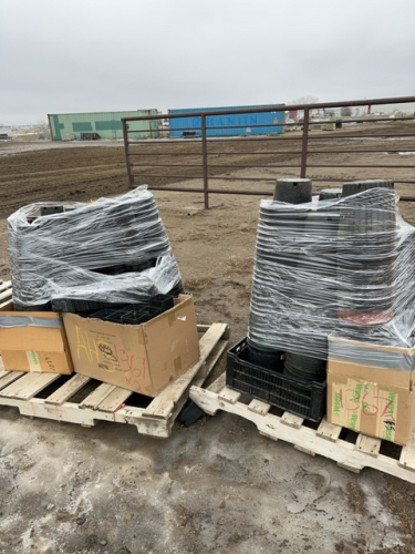 Two pallets plastic planting pots