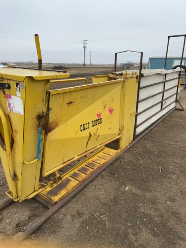 Roper calf chute with 12 foot alley on skid