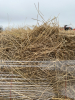 Pallet of 1st cut hay - 4