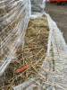 Pallet of 1st cut hay - 5