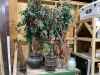 (4) ARTIFICIAL PLANTS/TREES, POT, DECORATIVE REEDS