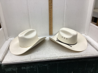 2 COWBOY HATS