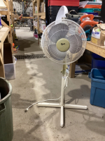 STAND FAN OSCILLATING