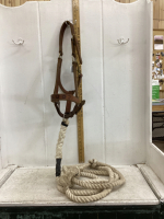 BRONC HALTER