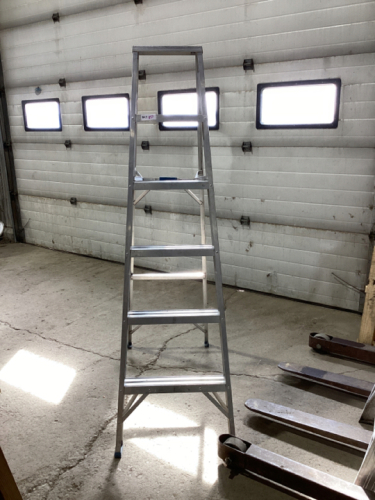 5-STEP ALUMINUM LADDER