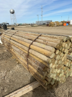 Full bundle of 12 foot treated rails