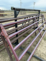 Two 12’ steel gates