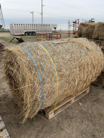 One small round bale of grass hay