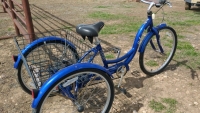 Schwinn trike