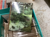 BOX WITH PLANT AND GARDENING BOOKS - 2