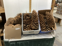 3 BOXES OF JUMBO PINE CONES